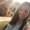 Photo of Jenna S.