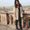 Photo of Preeti P.