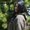 Photo of Binitha G.