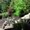 Photo of IO Landscape Maintenance Service W.