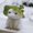 Photo of 璞