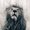 Photo of Lucien V.