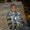 Photo of Sureshkumar R.