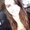 Photo of Chelsea L.