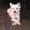 Photo of Linny P.