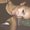 Photo of Tori G.