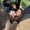 Photo of Arianna G.