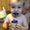 Photo of Cody H.