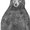 Photo of Sharon H B.