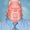 Photo of Reggie L.