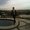 Photo of Todd P.