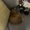 Photo of Young Stroker The Body Snatcher ..