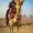 Photo of Jigar M.
