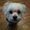 Photo of Coco Y.