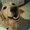 Photo of Reenie Z.
