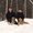 Photo of Catharine M.