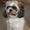 Photo of Maggie S.