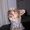 Photo of Rod S.