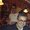 Photo of Carlos C.