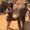 Photo of Destiney R.