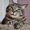 Photo of Happy C.