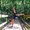 Photo of Melissa S.