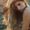 Photo of Kiele T.