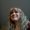 Photo of Sherry C.