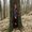 Photo of Stephanie K.