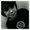 Photo of Hayden J.