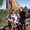 Photo of Kirsteen M.