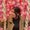 Photo of simran k.