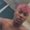 Photo of Dequan S.