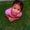 Photo of Mhayenz A.