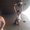 Photo of Shreya G.