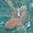 Photo of Paul G.