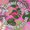 Photo of Pink Flamingo B.