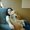 Photo of Alyssa L.