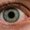 Photo of Lookat U.