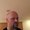 Photo of Tim D.