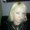 Photo of Mel R.