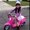 Photo of Nhan L.