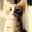 Photo of Luna Y.