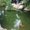 Photo of Latasha B.