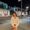 Photo of Sacha M.