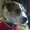 Photo of Snoopy E.