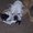 Photo of Bomb S.