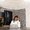 Photo of Shameika W.