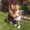 Photo of Brittany S.