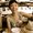 Photo of Quyen T.